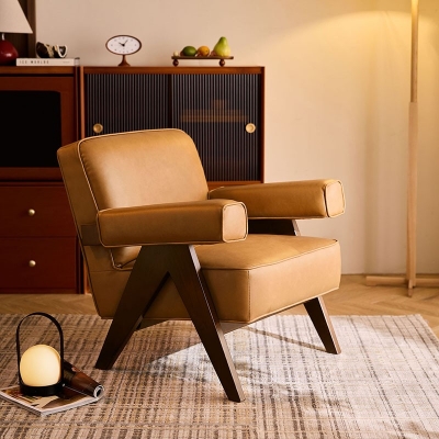 Brown Color Leisure Leather Chair