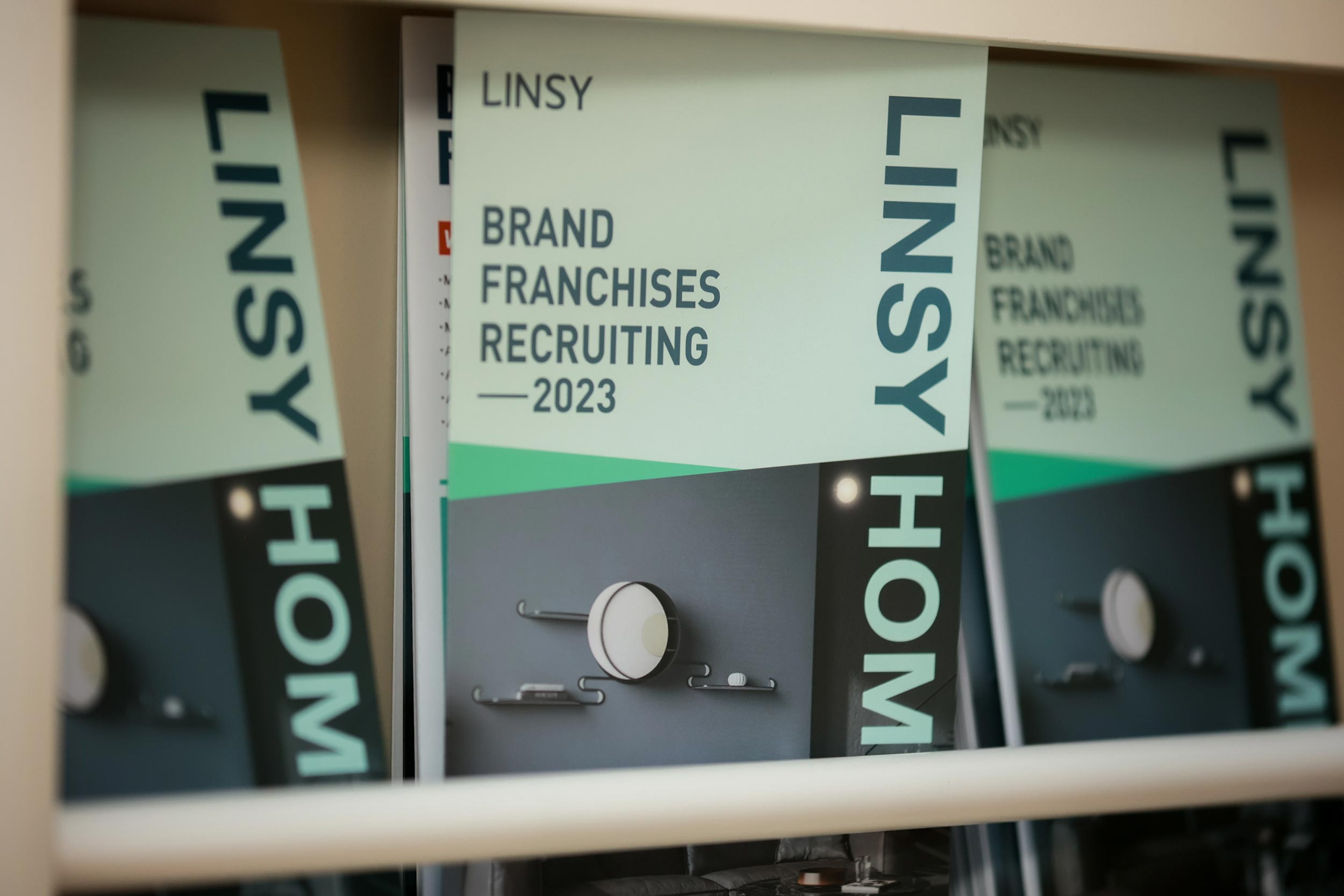 Desarrollo de la marca LINSY